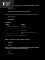 Chest X-Ray Positioning Techniques | PDF | Thorax | Medical Specialties