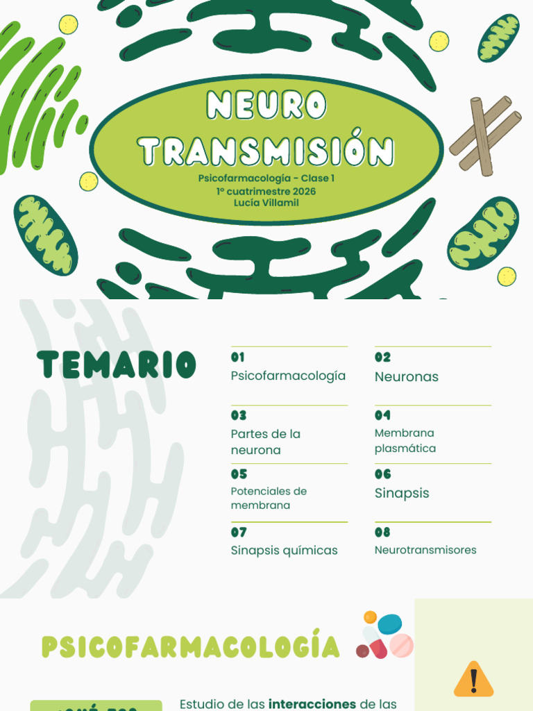 1. Neurotransmisión | PDF | Sinapsis | Neurona