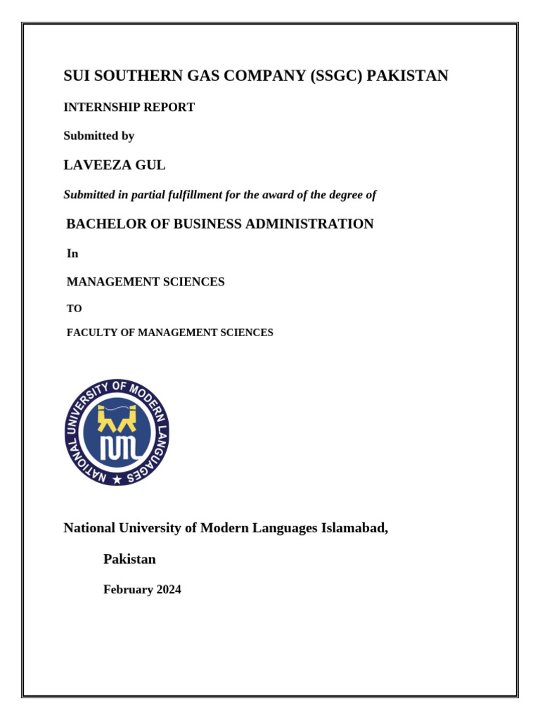 Internship Report - Laveeza | PDF | Geographic Information System | Budget