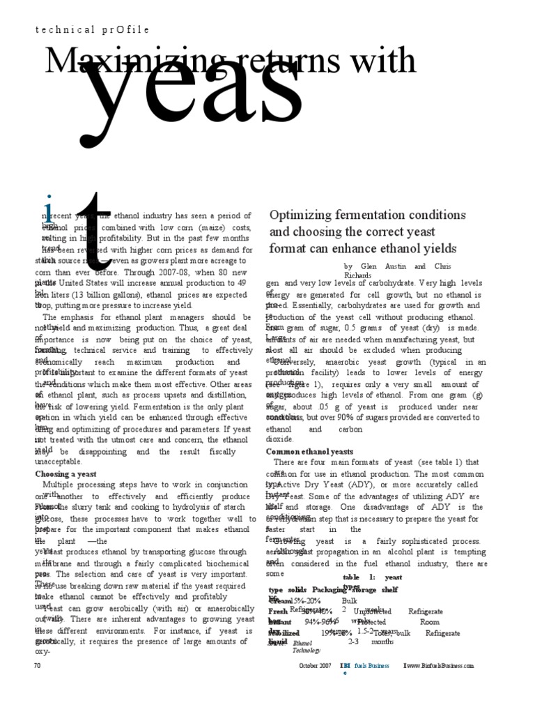 Yeast Optimization for Ethanol Production | PDF | Yeast | Fermentation