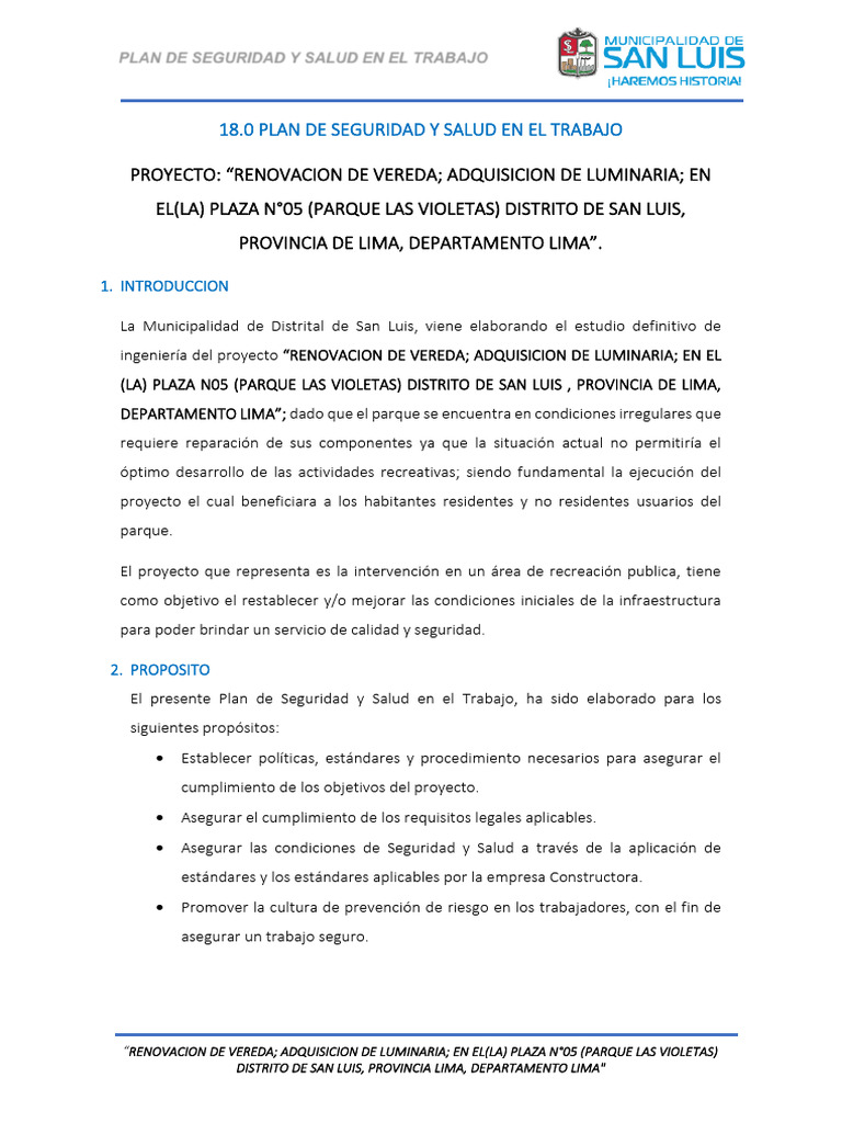 Plan de Seguridad y Salud en El Trabajo | PDF