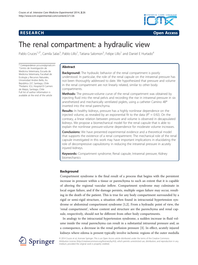 Theoretical Model for Renal_Capsule | PDF | Kidney | Anesthesia