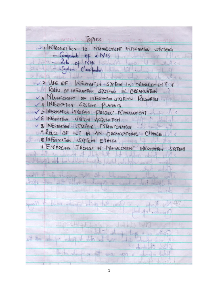 management information systems notes | PDF