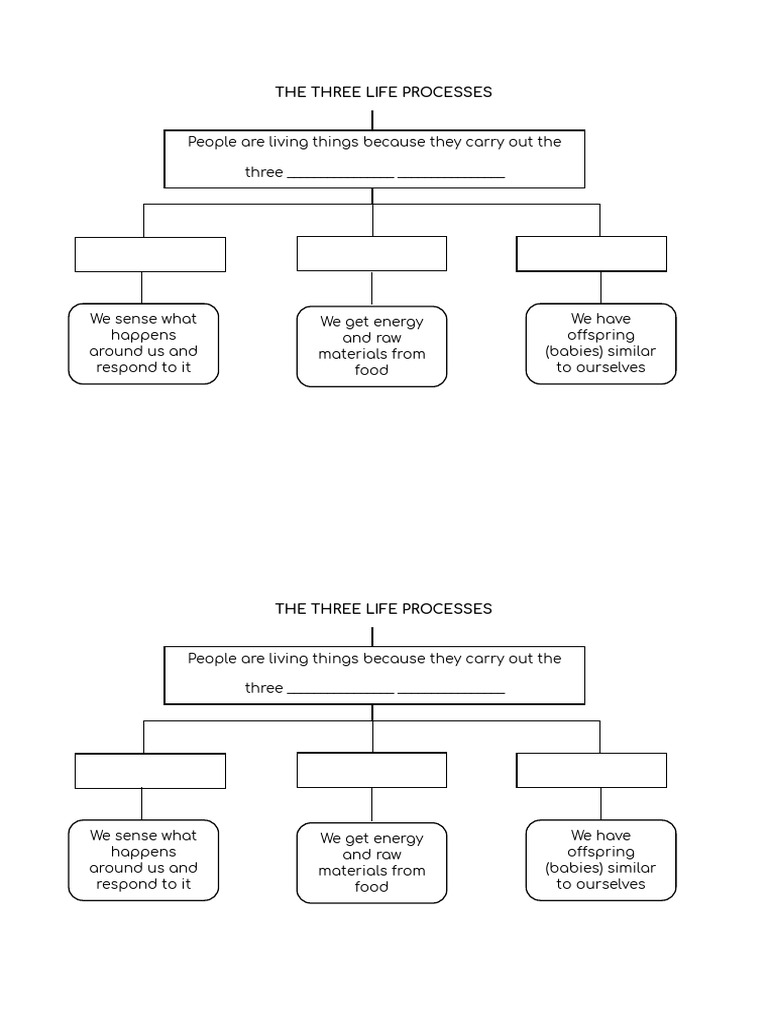 3 Life Processes | PDF