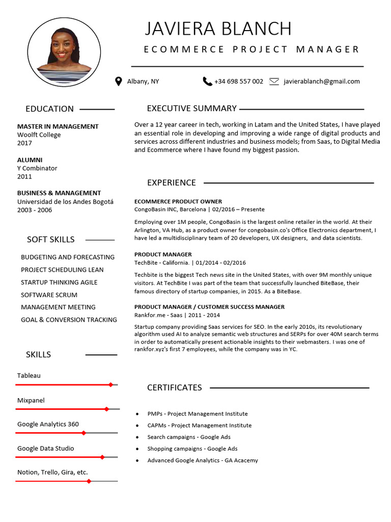 free-cv-template-12 | PDF | Computing | Information Technology