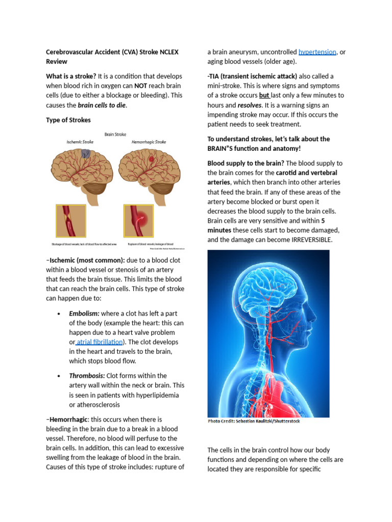 CVA (Cerebrovascular Accident) | PDF | Stroke | Ischemia