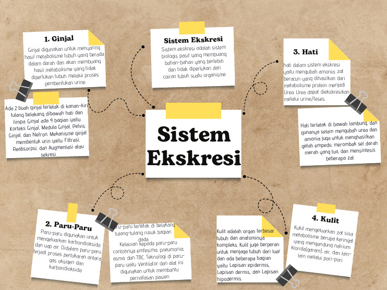Brown Scrapbook Mind Map Graph_20260415_231639_0000 | PDF