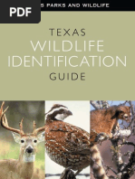 Download Texas Wildlife Identification Guide by bugsbugs SN102683362 doc pdf