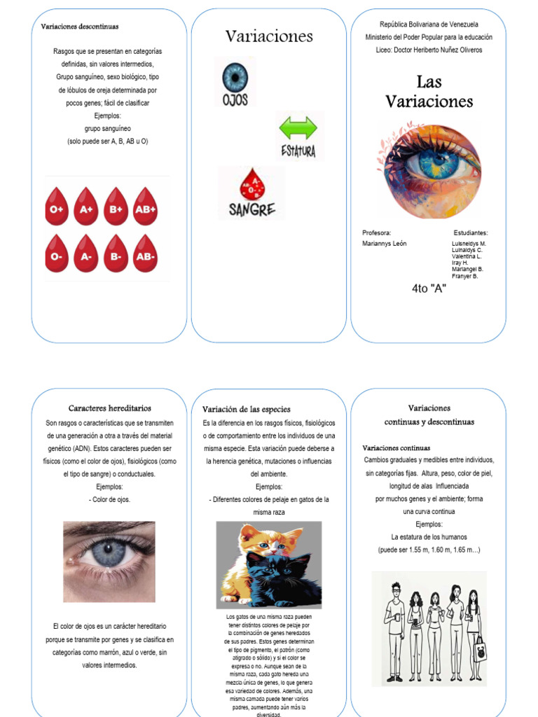 Triptico - Variaciones | PDF | Herencia | Raza (categorización humana)