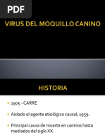Download Virus Del Moquillo Canino Final by sebasrd07 SN102684463 doc pdf