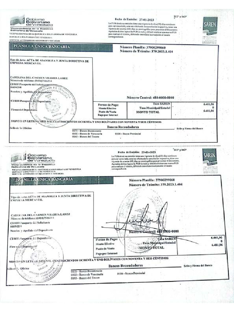 11. cambio de domicilio. ciere y perturs de sucursal. nombramiento ...