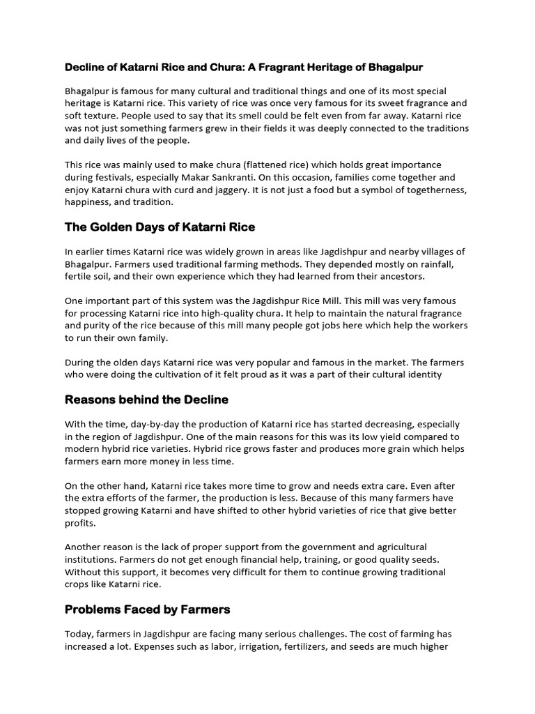 Decline of Katarni Rice and Chura-1 | PDF | Rice | Agriculture