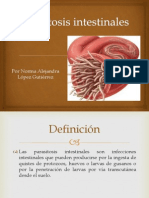 Parasitosis Intestinales