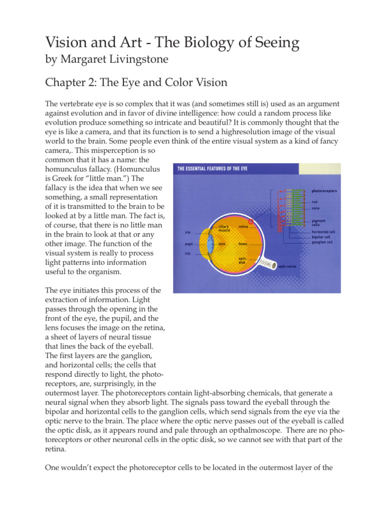 Vision and Art - Biology of Seeing Color- Chapter 2 | PDF | Color | Eye
