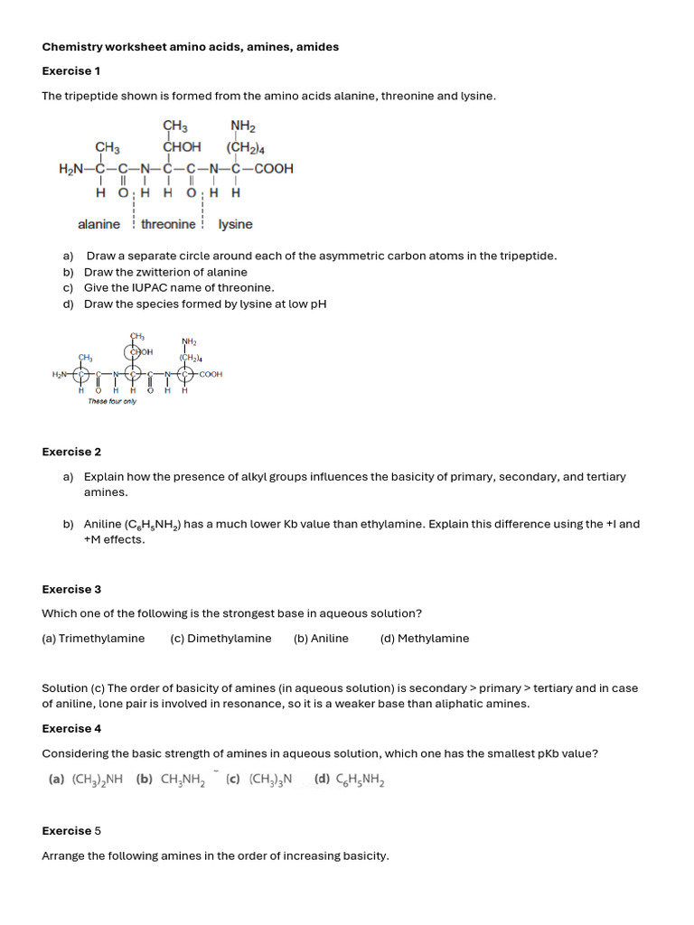Chemistry Worksheet Amino Acids Students | PDF | Amine | Acid