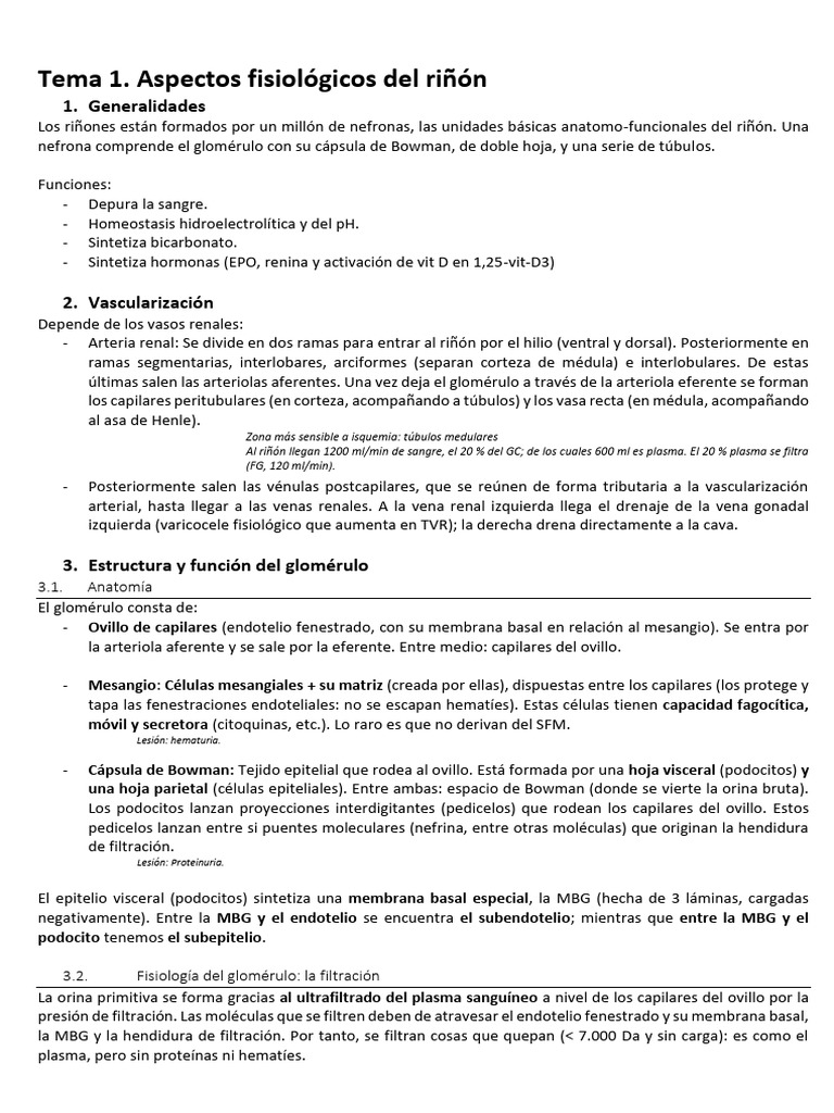 RESUMEN NEFRO | PDF | Riñón | Especialidades Medicas