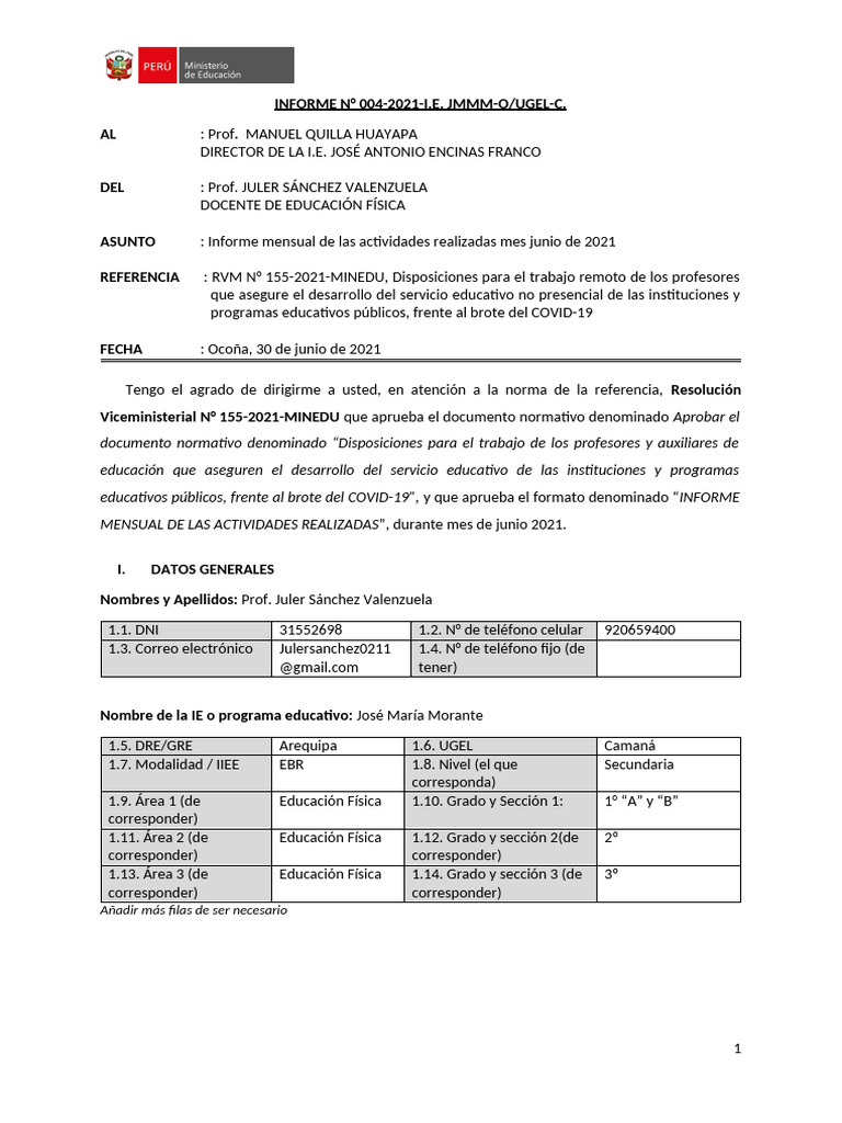 Juler Sánchez Informe Mensual Junio 2021 | PDF | Pedagogía | Aprendizaje