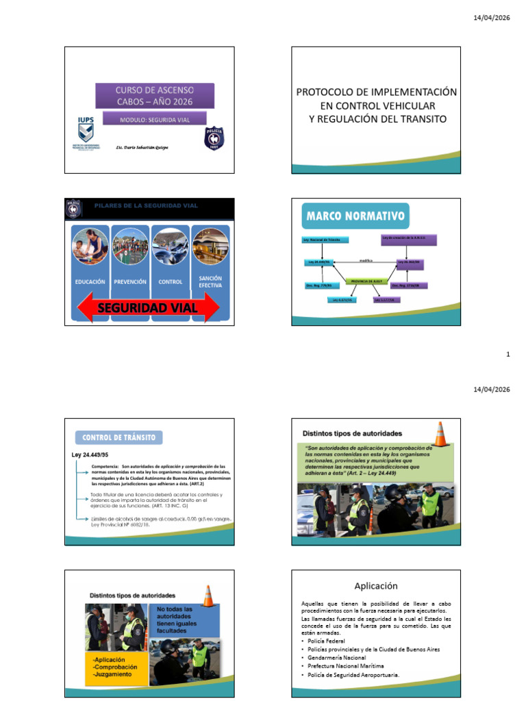 Control Vehicular - Resumen | PDF | Policía