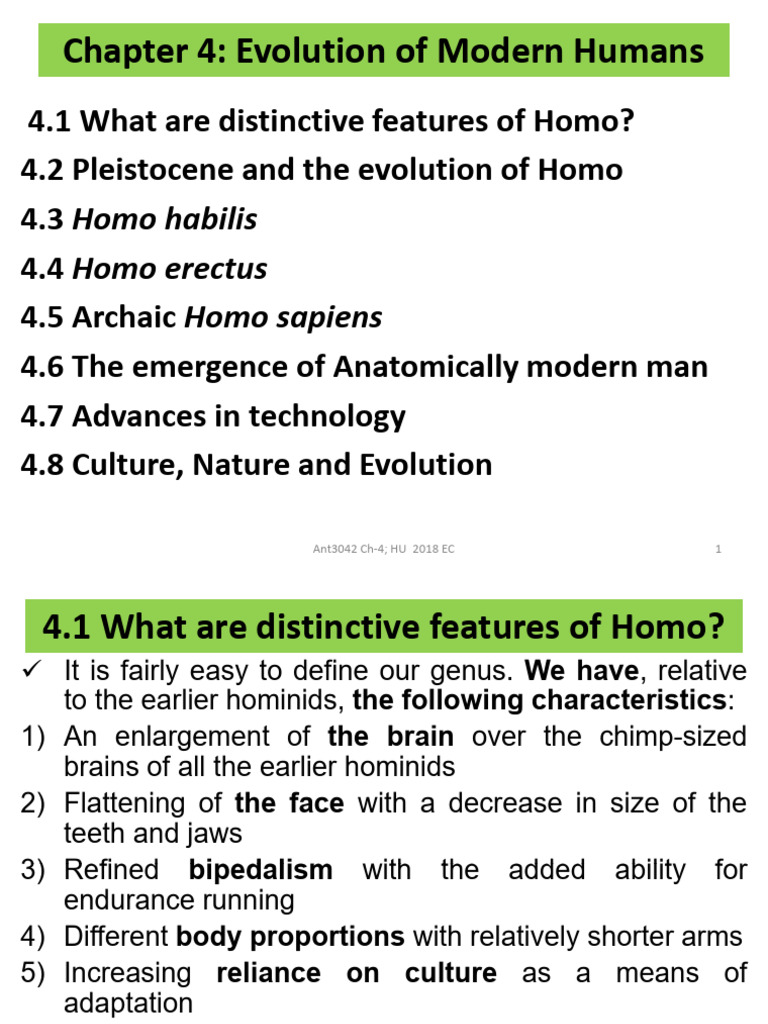 Anth3042 Ch-4 - Evolution of Modern Humans | PDF | Homo | Pleistocene