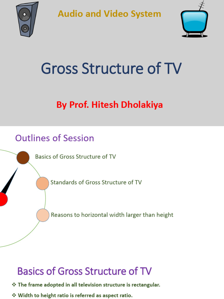 28. Gross Structure of TV.pptx | PDF