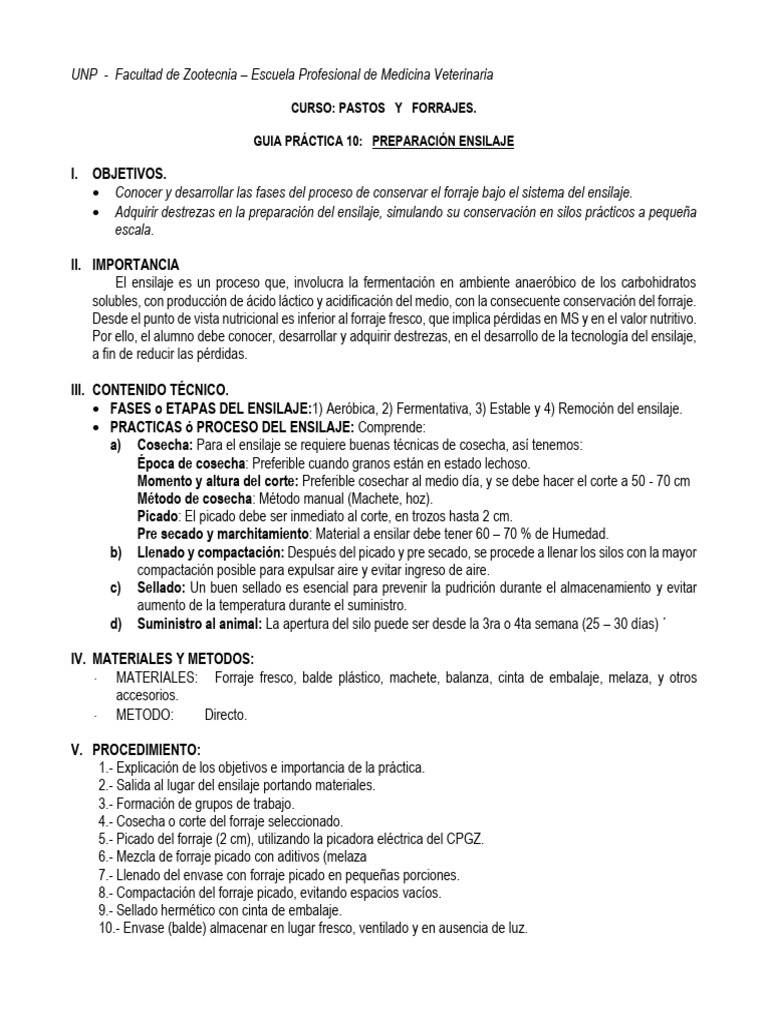 Guia Practica 10 | PDF
