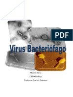 Virus Bacteriófago