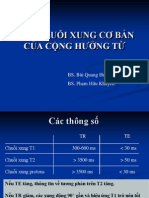 Cac Chuoi Xung Cong Huong Tu
