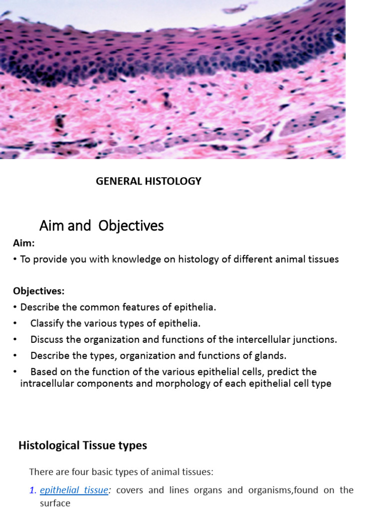 Tissues of the body – General, Epithelium and Glands (1) | PDF ...