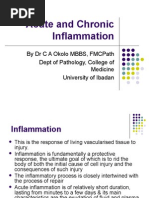 Download Acute and Chronic Inflammation by ibnbasheer SN10271443 doc pdf
