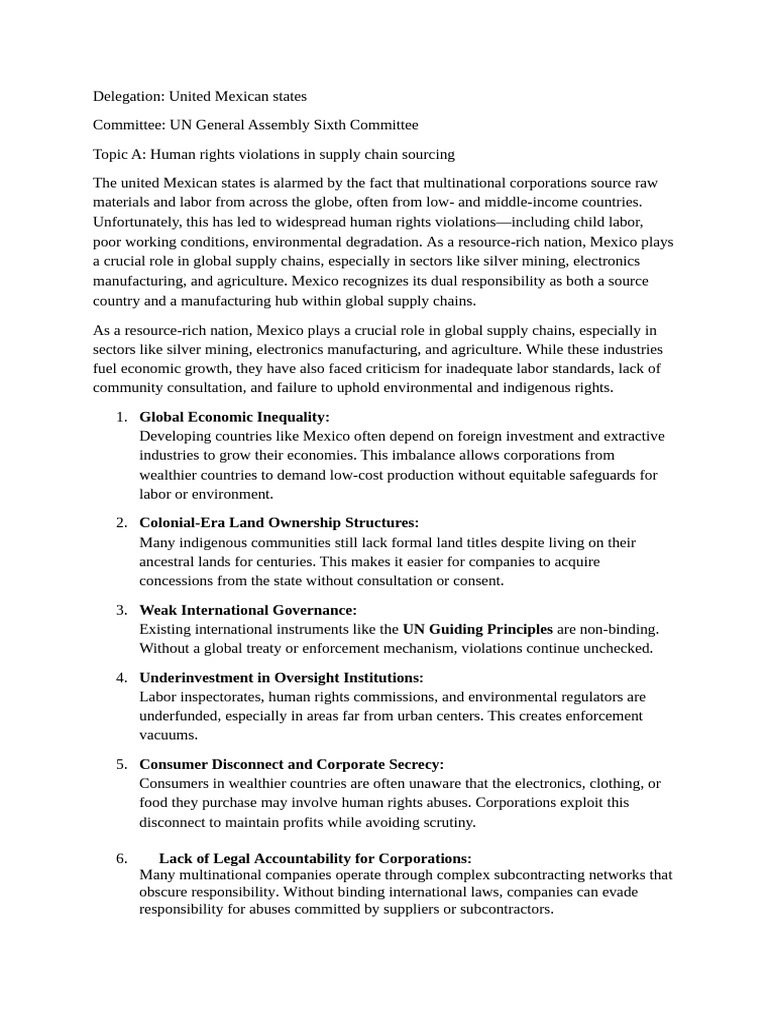 Position Paper | PDF | Supply Chain | Human Rights