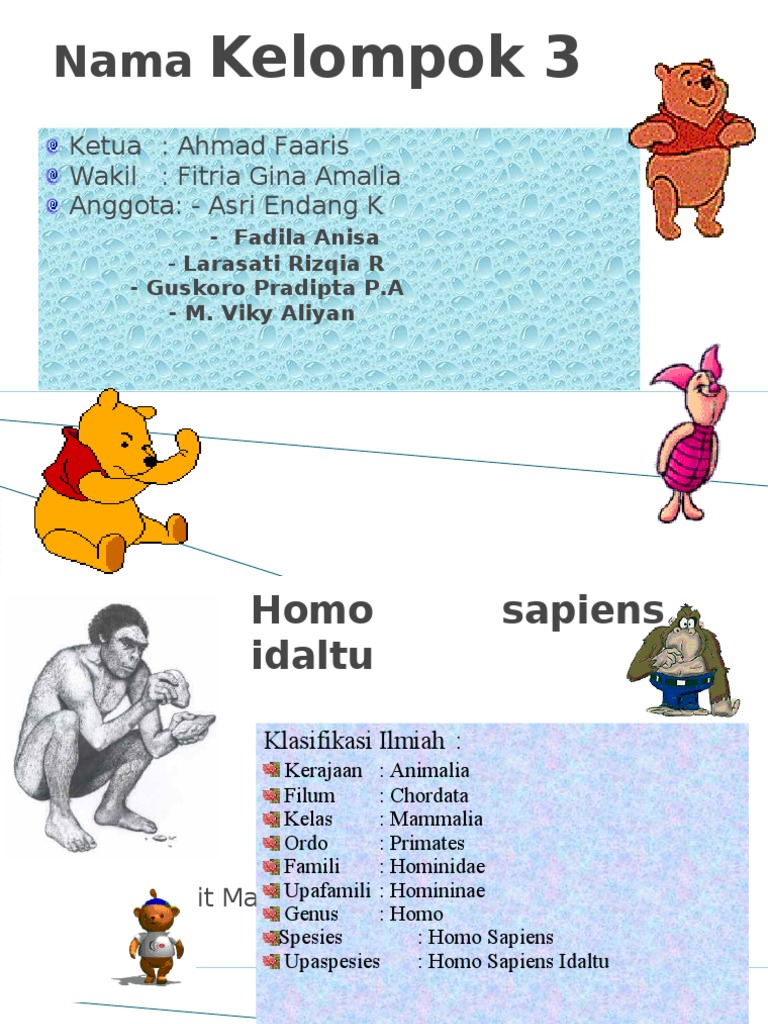 Homo Sapiens Idaltu | PDF
