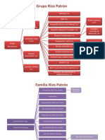 Empresas y Familia - Rizo P