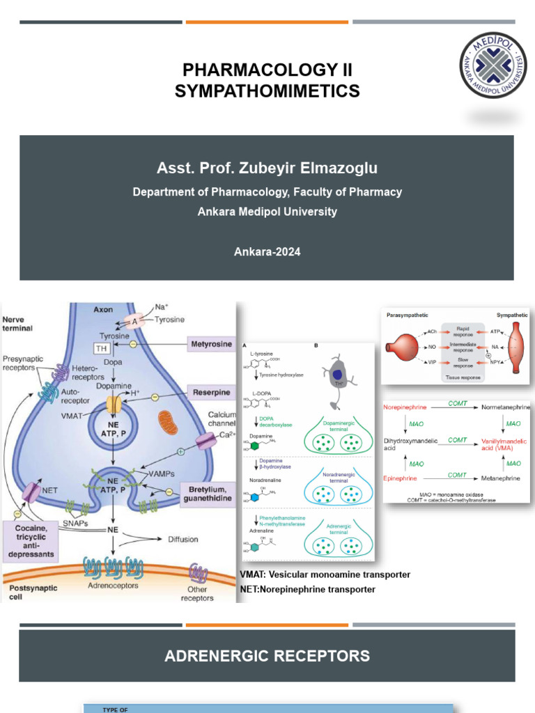 Sympathomimetic-litics Pharma II | PDF | Shock (Circulatory ...