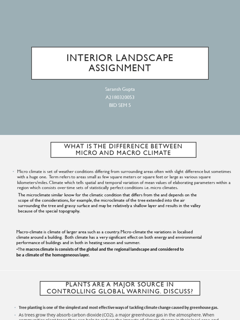 Interior Landscape Assignment (1) | PDF