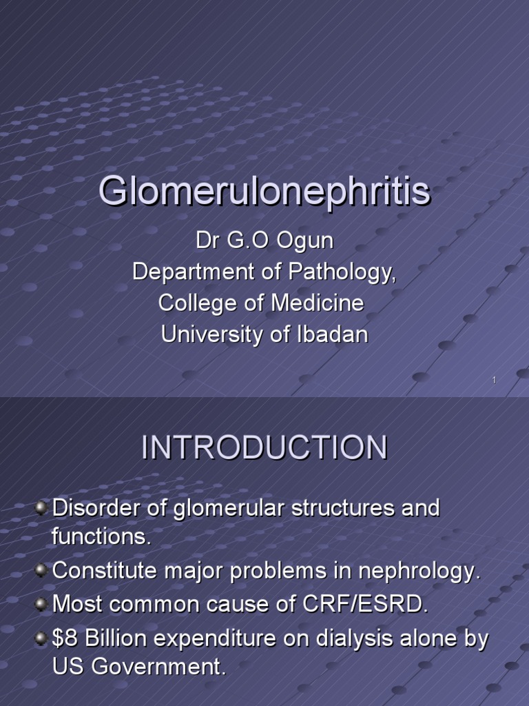 Glomerulonephritis Overview and Pathophysiology | PDF | Nephrology ...