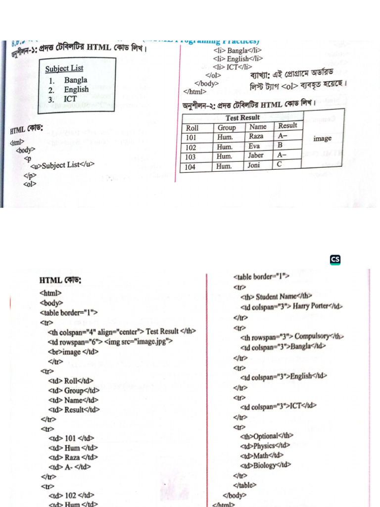 HTML Practice | PDF