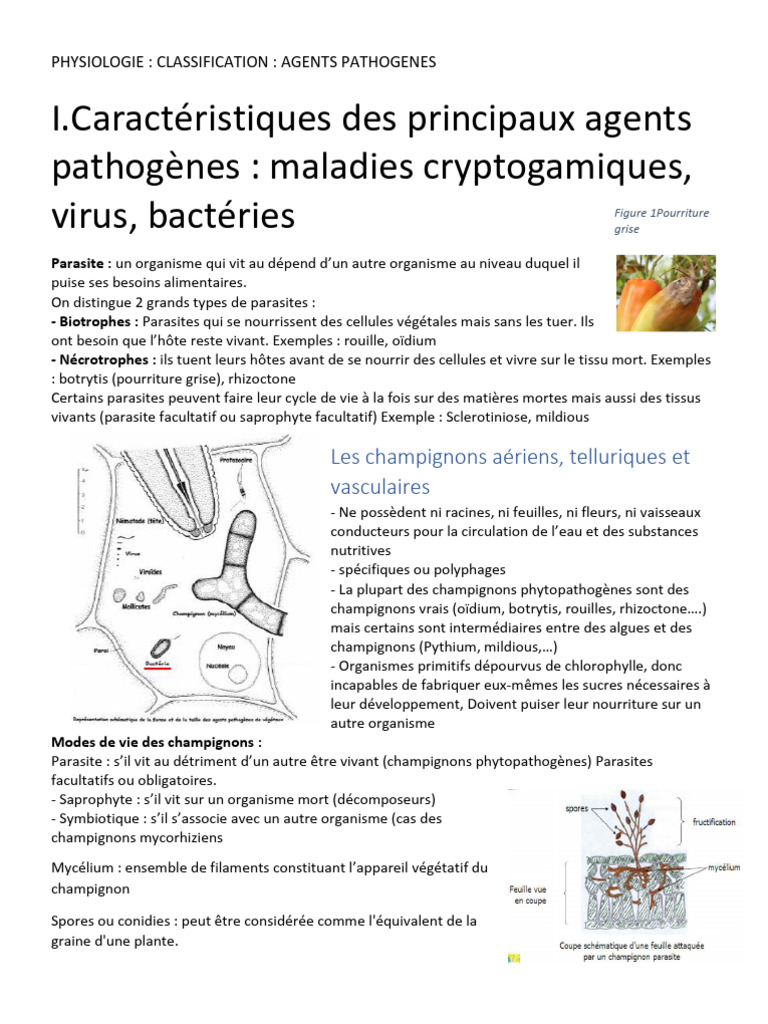 PHYSIOLOGIE Les Agents Pathogènes | PDF | Virus | Plantes