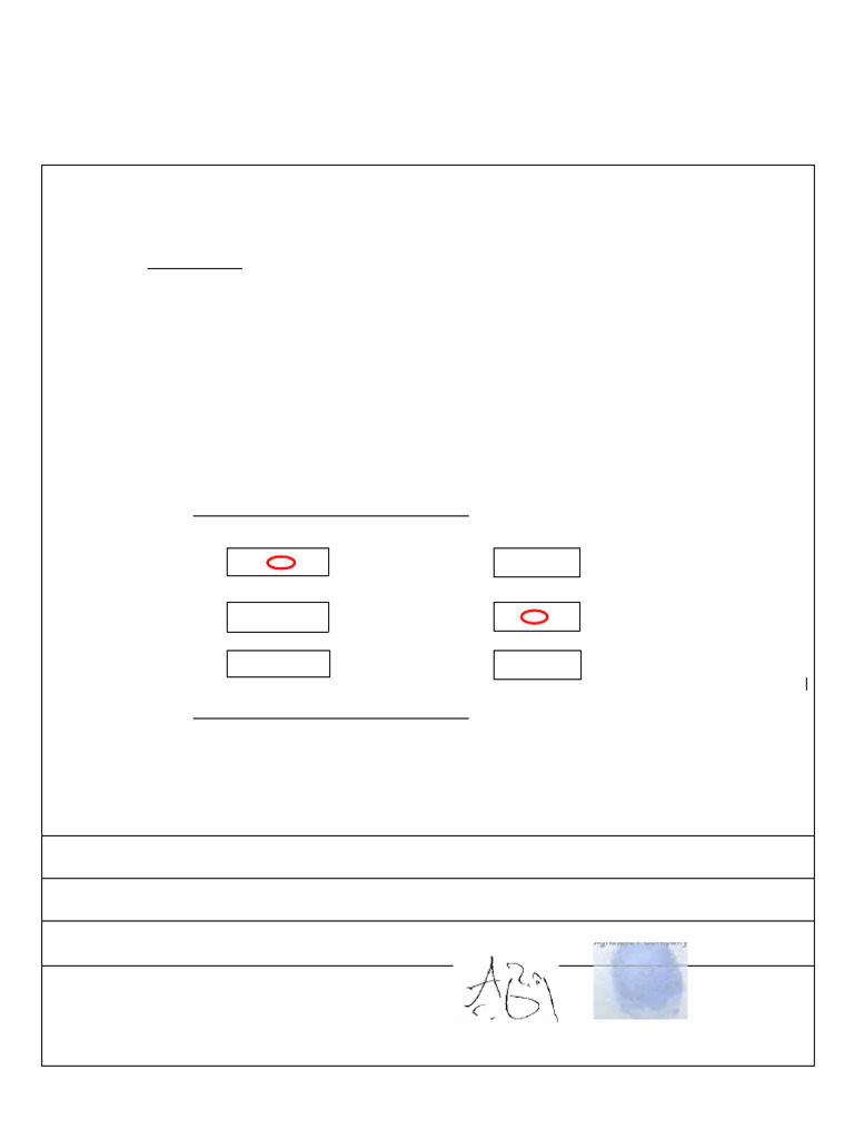 IP Justification Form(1) | PDF | Virtual Private Network | Computer Science