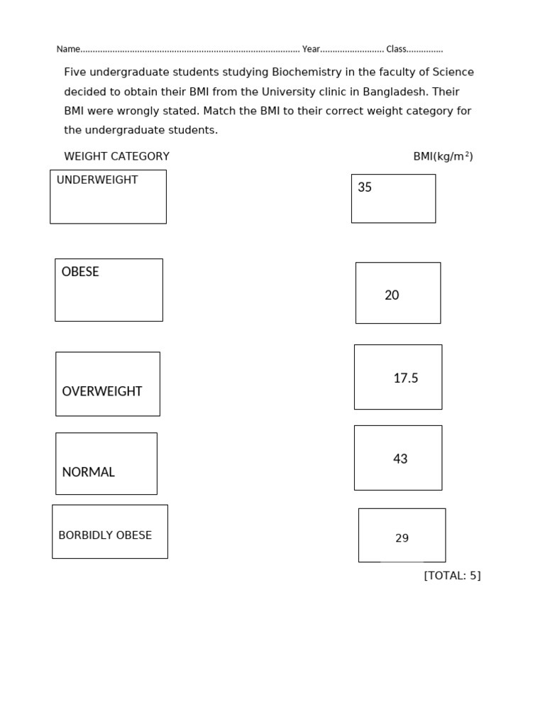 Worksheet on Bmi | PDF
