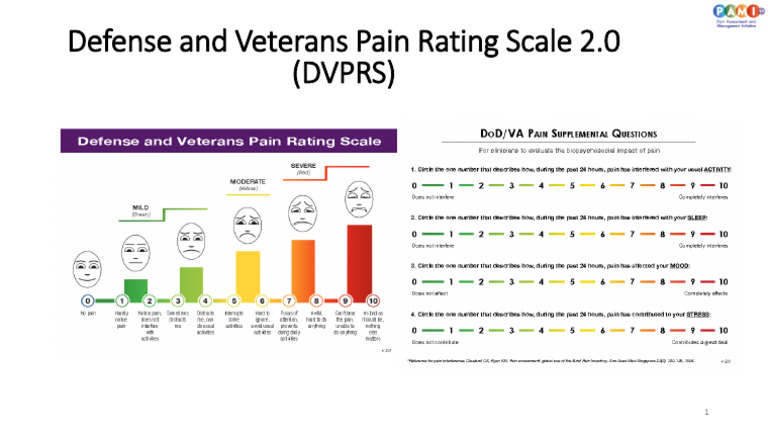 Defense and Veterans Pain Rating Scale | PDF