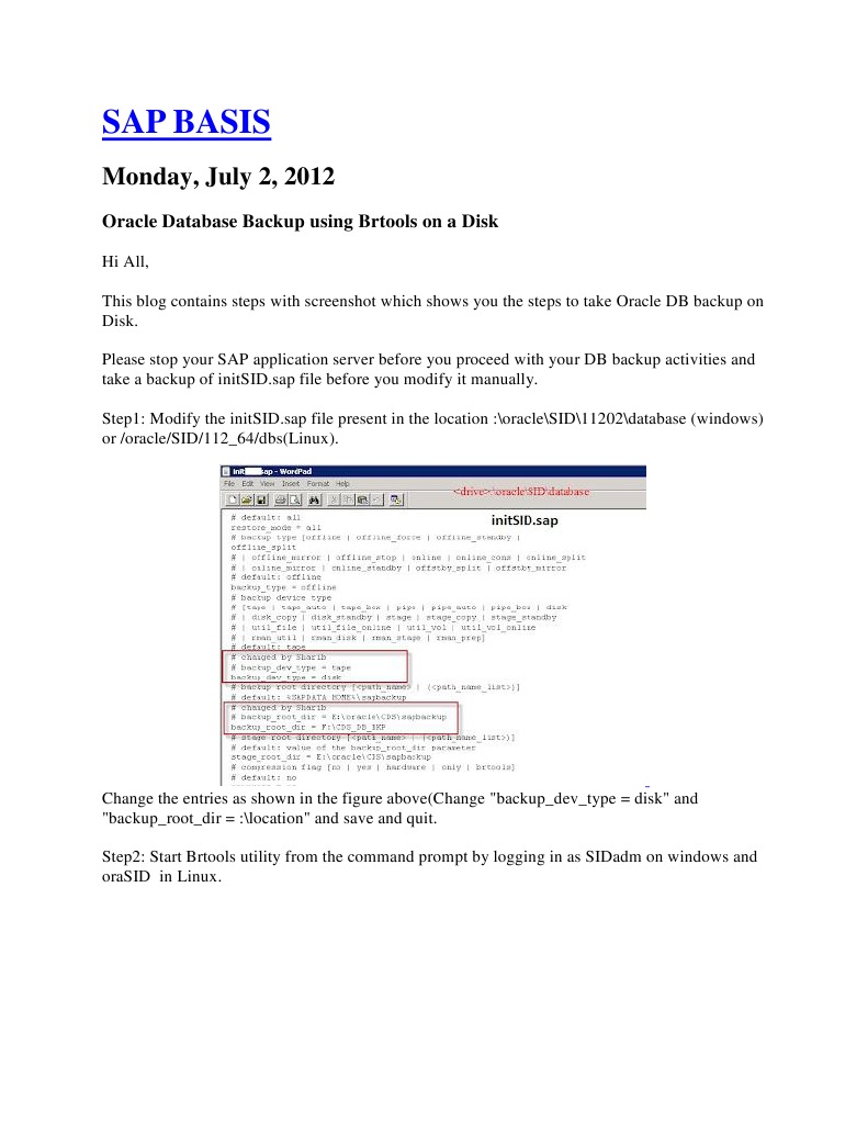 Oracle DB Backup Guide for SAP Users | PDF