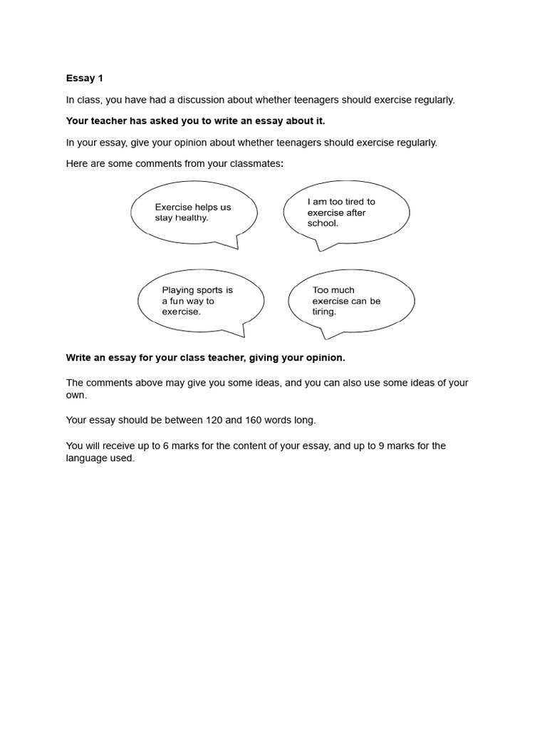 Essay Exercises | PDF