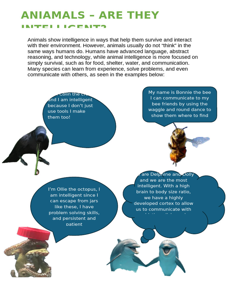 Animal Intelligence Poster Copy | PDF
