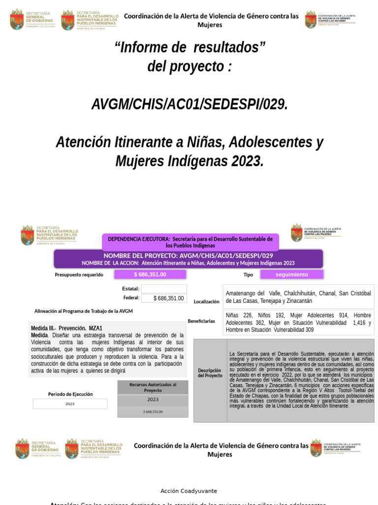 proyecto AVGM | PDF