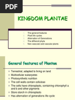 Kingdom Plantae