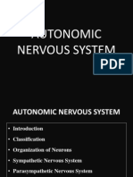 Autonomic Nervous System