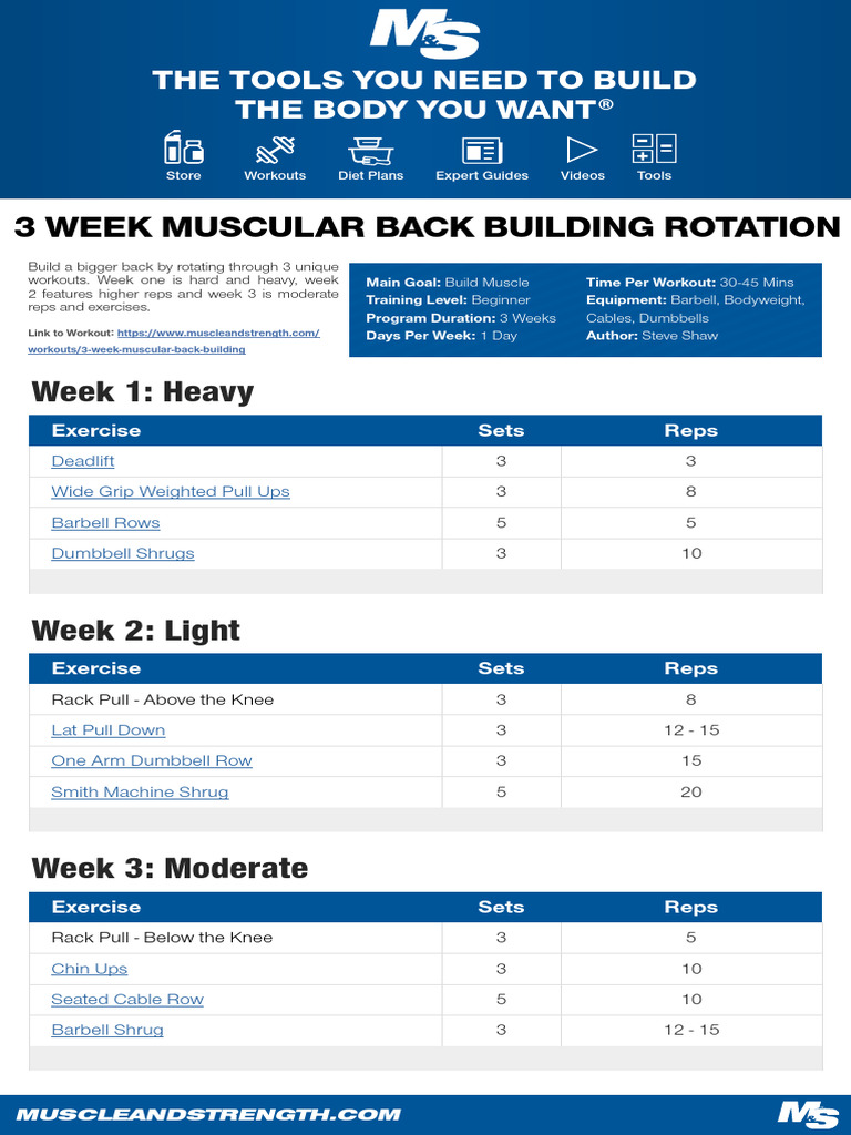 3 Week Muscular Back Building Rotation | PDF | Human Body Weight ...