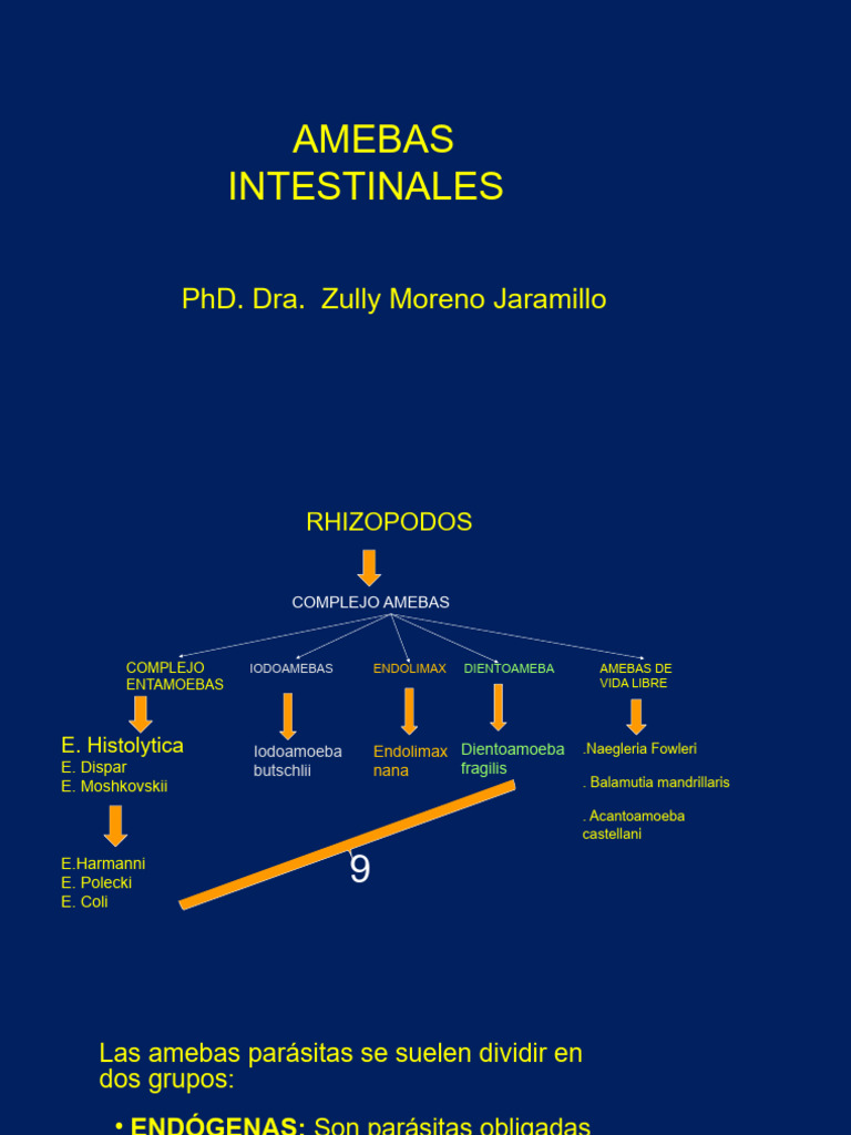 2 Amebas Intestinales 2026 | PDF