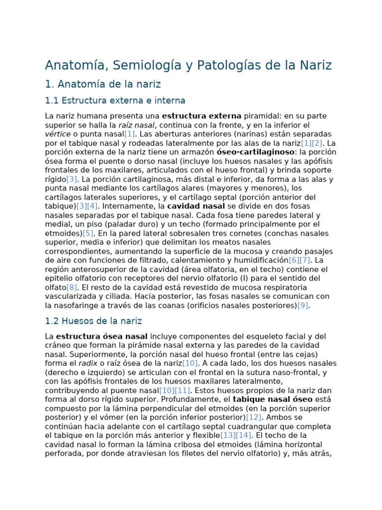 Anatomía, Semiología y Patologías de la Nariz | PDF | Nariz humana ...