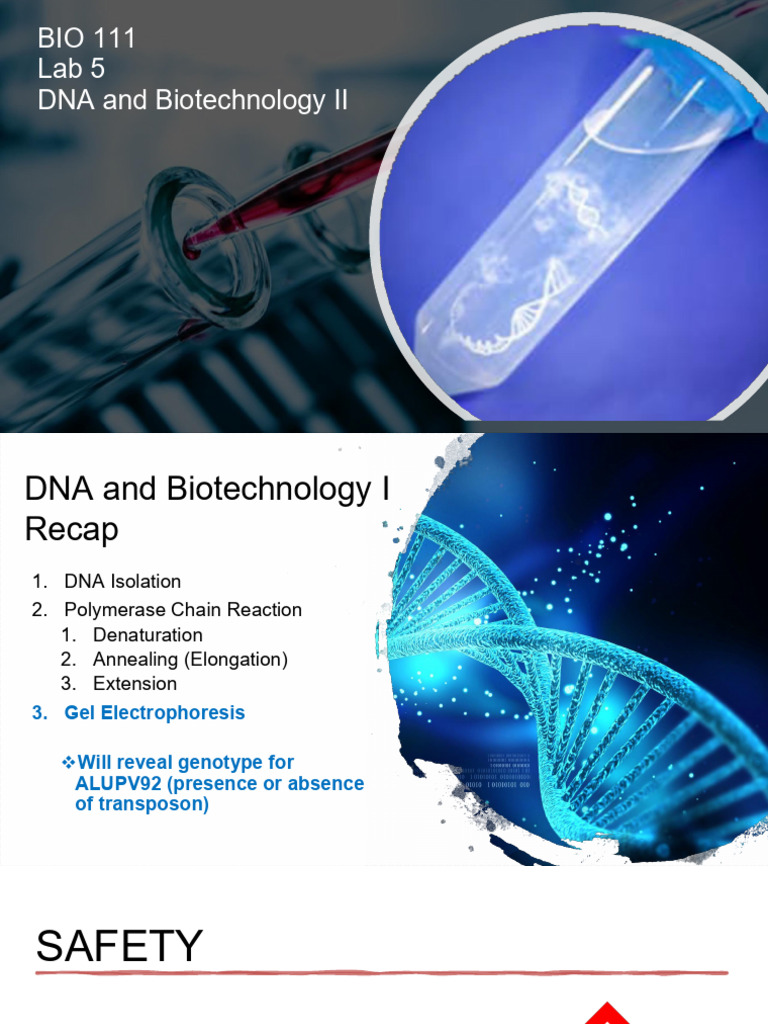 BIO111.S25.Lab5.HM | PDF